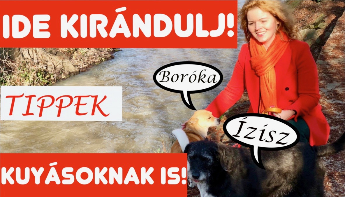 Szentendre: IDE kirándulj! TIPP kutyásoknak IS Szentendre: IDE kirándulj! TIPP kutyásoknak IS